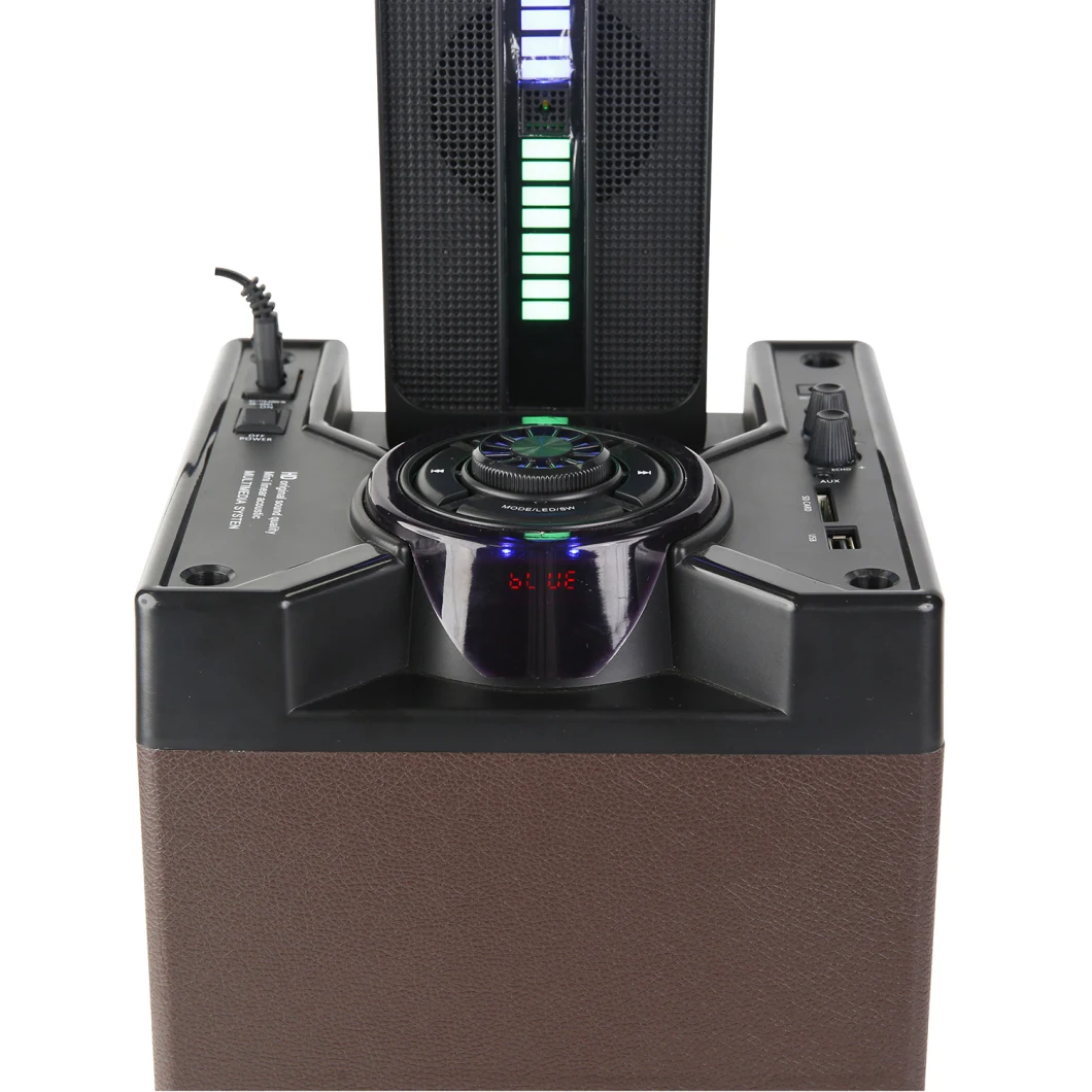 2022 Hot Sale Wireless Karaoke DJ Multimedia Entertainment Bluetooth Portable Speaker