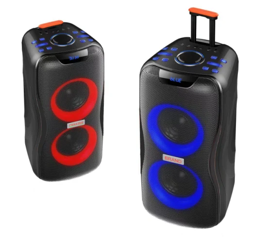 Temeisheng 2022 DJ Box Music MP3 Party Sound Box 100W Audio Portable Professionnel Sans Fil Bluetooth PRO Haut-parleurs Avec Microphone