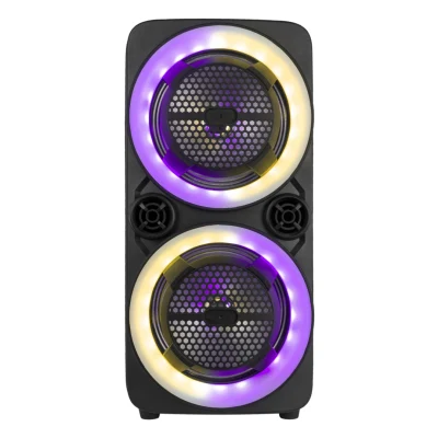 Woofer 8 pouces avec haut-parleurs rechargeables Tweeter 100W 12V Haut-parleurs portables sans fil Bluetooth avec lumière LED attrayante